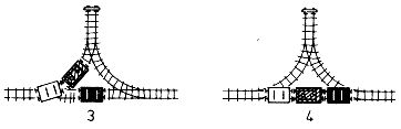 205.jpg