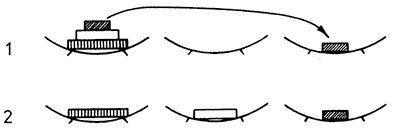 207.jpg
