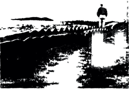 f03.jpg