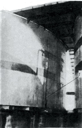 f06.jpg