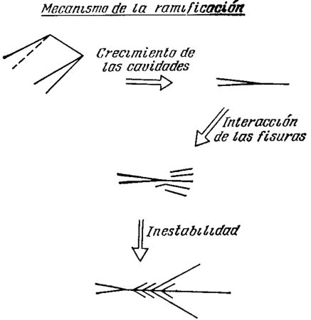 f106.jpg