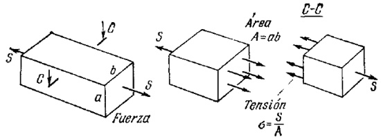 f20.jpg