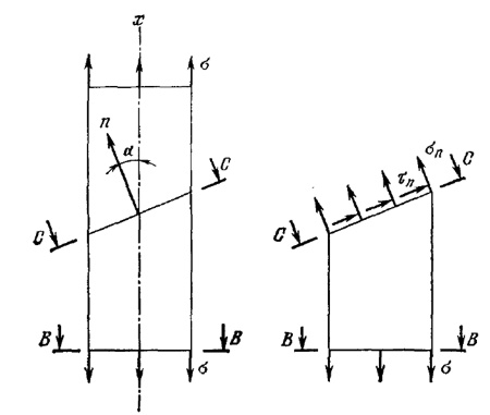 f21.jpg
