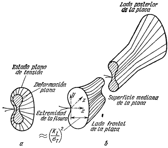 f54.jpg