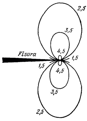 f63.jpg