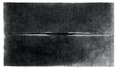 f77.jpg