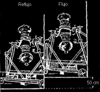 figura013