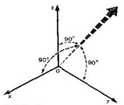 figura021