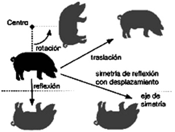 150.jpg