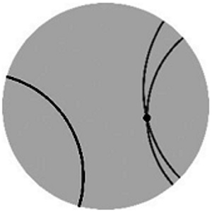 164.jpg