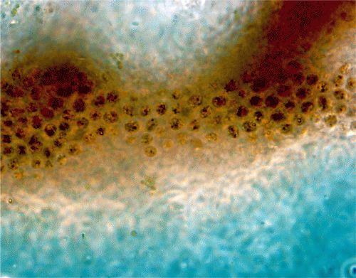 047.jpg
