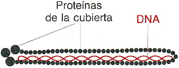 071.jpg