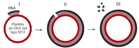 105.jpg