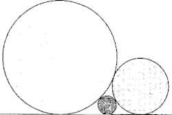 111.jpg