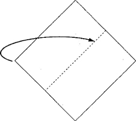 158.jpg