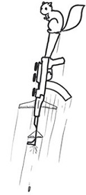 267.jpg