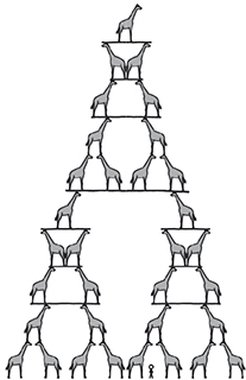 279.jpg