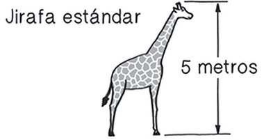 281.jpg