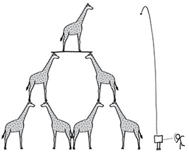 319.jpg
