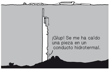 368.jpg