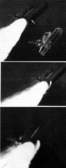 figura12.jpg