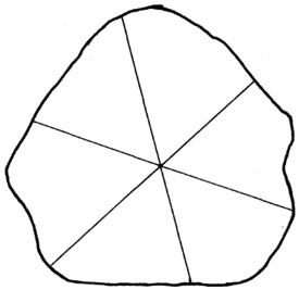 figura17.jpg