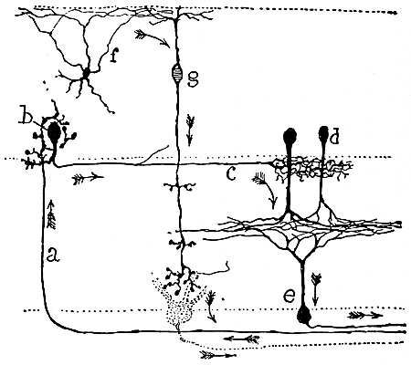 103.jpg