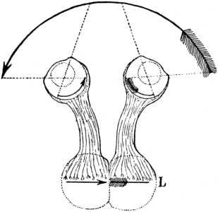 118.jpg
