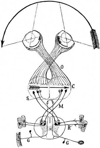 119.jpg