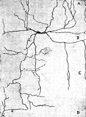 127.jpg