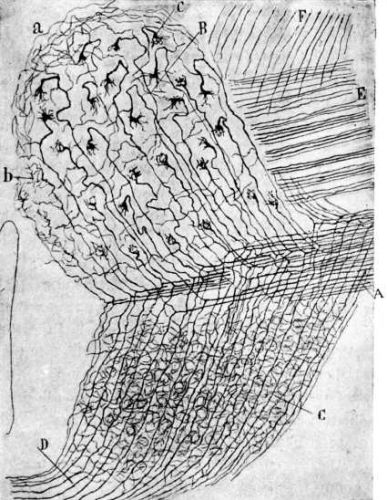 147.jpg