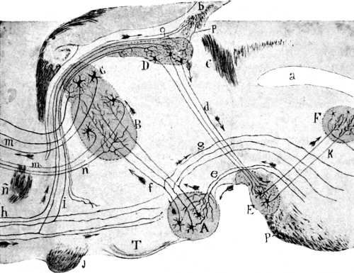 152.jpg