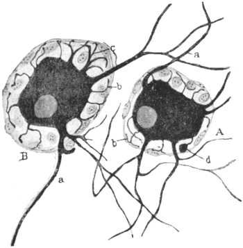 165.jpg