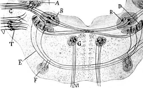 188.jpg