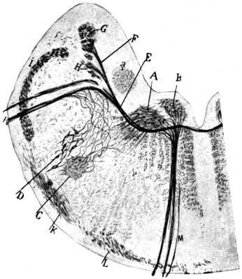 189.jpg