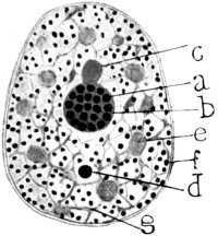 190.jpg