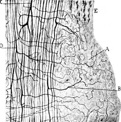 193.jpg