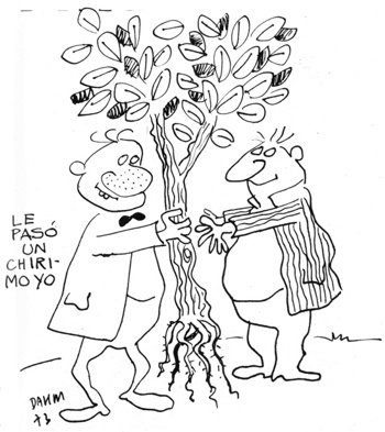 15c.jpg