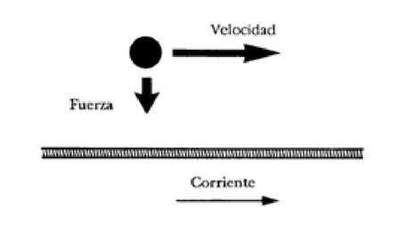 figura07