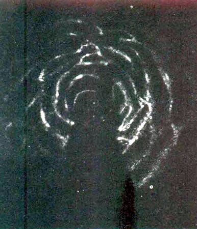 125.jpg
