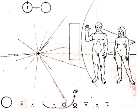 155.jpg