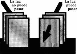 062.jpg