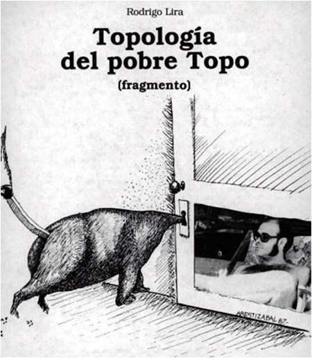 100.jpg