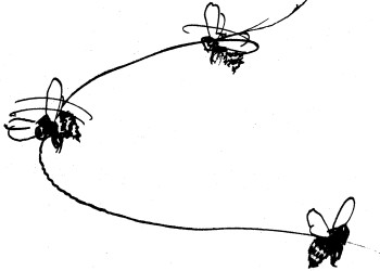 mono087