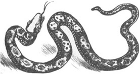 mono126-2