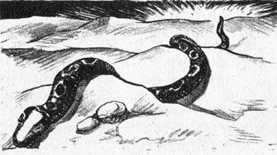 mono126-3