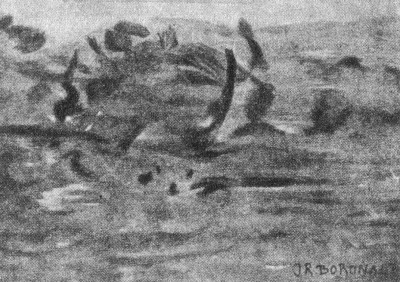 mono166-1
