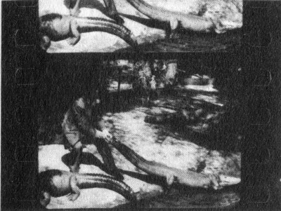 mono232