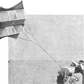 mono306