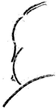 mono313